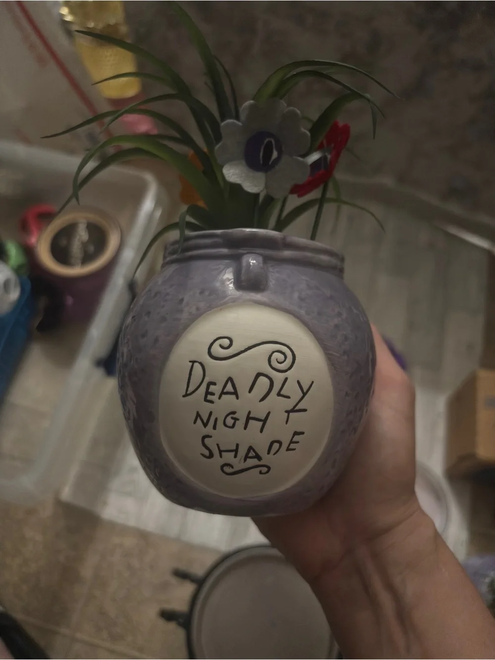 Nightmare before Christmas succulent deadly nightshade